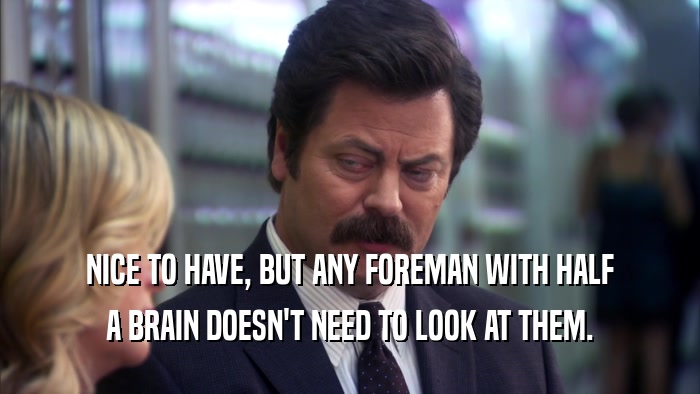 NICE TO HAVE, BUT ANY FOREMAN WITH HALF A BRAIN DOESN'T NEED TO LOOK AT THEM. 