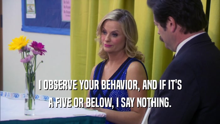 I OBSERVE YOUR BEHAVIOR, AND IF IT'S A FIVE OR BELOW, I SAY NOTHING. 