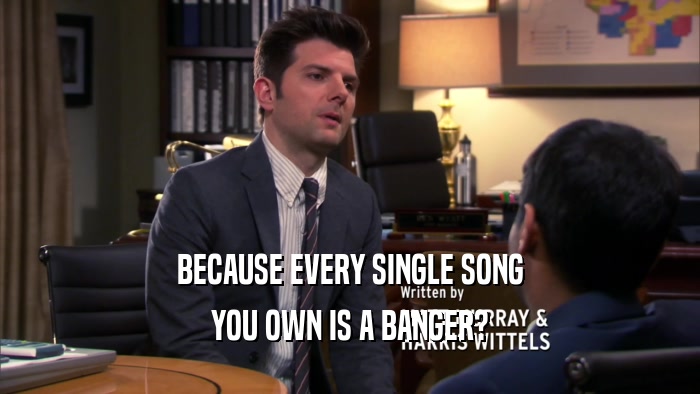 BECAUSE EVERY SINGLE SONG YOU OWN IS A BANGER? 