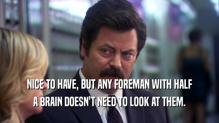 NICE TO HAVE, BUT ANY FOREMAN WITH HALF A BRAIN DOESN'T NEED TO LOOK AT THEM. 