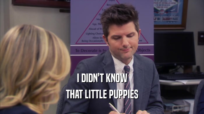 I DIDN'T KNOW THAT LITTLE PUPPIES 