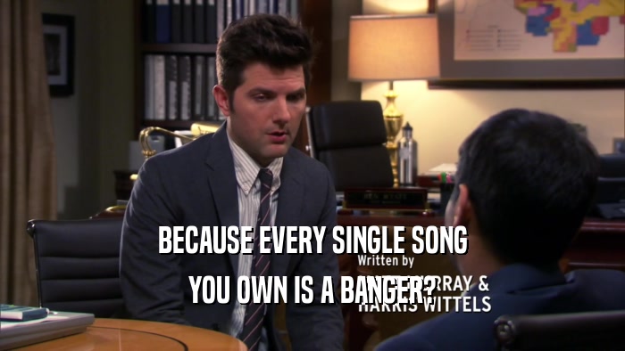 BECAUSE EVERY SINGLE SONG YOU OWN IS A BANGER? 