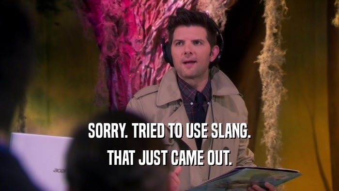 SORRY. TRIED TO USE SLANG. THAT JUST CAME OUT. 