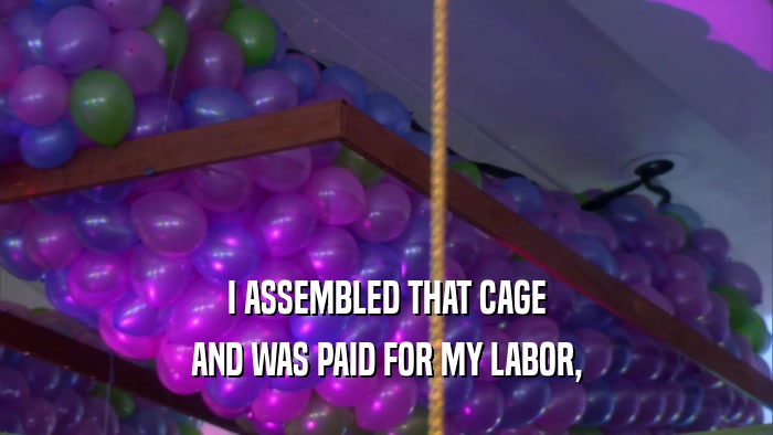 I ASSEMBLED THAT CAGE AND WAS PAID FOR MY LABOR, 