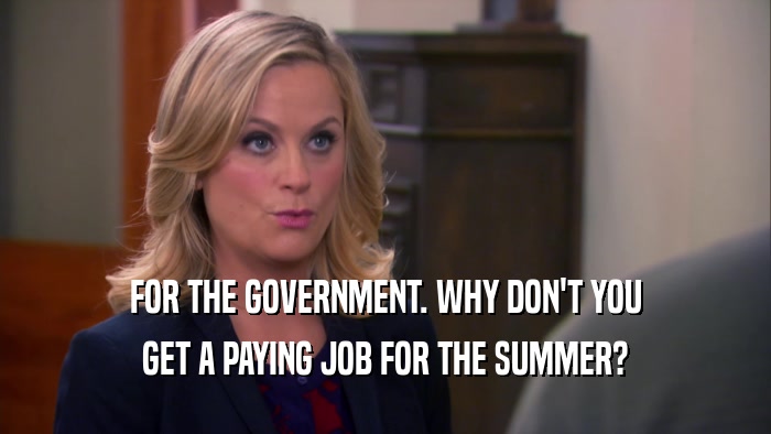 FOR THE GOVERNMENT. WHY DON'T YOU GET A PAYING JOB FOR THE SUMMER? 