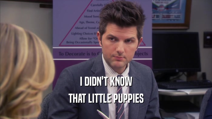 I DIDN'T KNOW
 THAT LITTLE PUPPIES
 