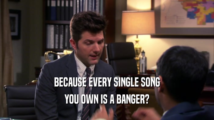 BECAUSE EVERY SINGLE SONG YOU OWN IS A BANGER? 