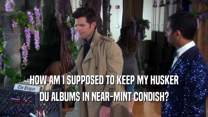 HOW AM I SUPPOSED TO KEEP MY HUSKER DU ALBUMS IN NEAR-MINT CONDISH? 