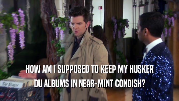 HOW AM I SUPPOSED TO KEEP MY HUSKER DU ALBUMS IN NEAR-MINT CONDISH? 