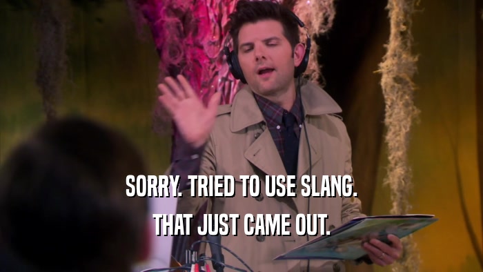 SORRY. TRIED TO USE SLANG. THAT JUST CAME OUT. 