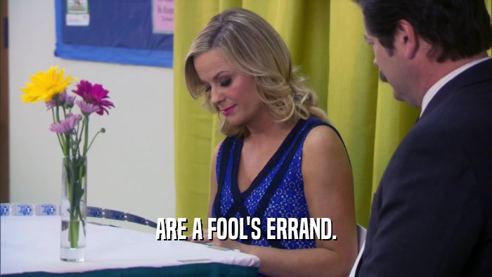 ARE A FOOL'S ERRAND.  