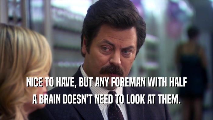 NICE TO HAVE, BUT ANY FOREMAN WITH HALF A BRAIN DOESN'T NEED TO LOOK AT THEM. 