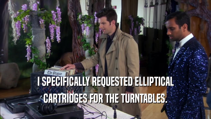 I SPECIFICALLY REQUESTED ELLIPTICAL CARTRIDGES FOR THE TURNTABLES. 