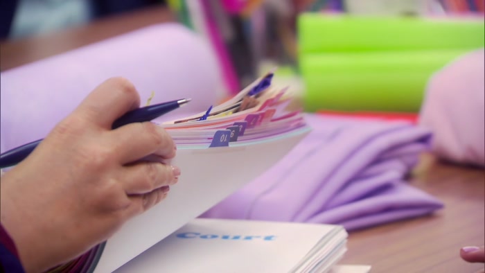ARE THOSE JENSE-TRODDER COLOR TABS? 