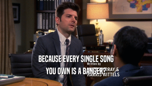 BECAUSE EVERY SINGLE SONG YOU OWN IS A BANGER? 