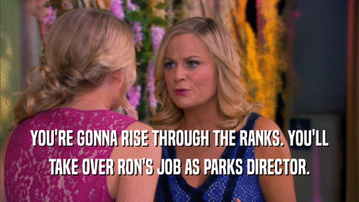YOU'RE GONNA RISE THROUGH THE RANKS. YOU'LL TAKE OVER RON'S JOB AS PARKS DIRECTOR. 