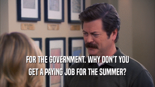 FOR THE GOVERNMENT. WHY DON'T YOU GET A PAYING JOB FOR THE SUMMER? 