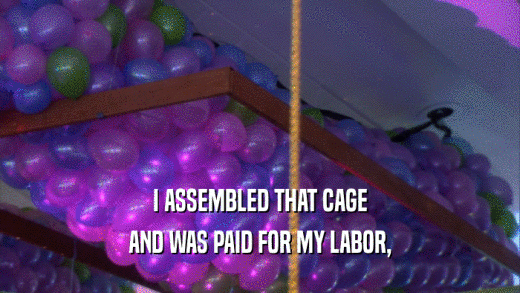 I ASSEMBLED THAT CAGE AND WAS PAID FOR MY LABOR, 