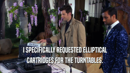 I SPECIFICALLY REQUESTED ELLIPTICAL CARTRIDGES FOR THE TURNTABLES. 