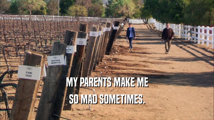 MY PARENTS MAKE ME SO MAD SOMETIMES. 