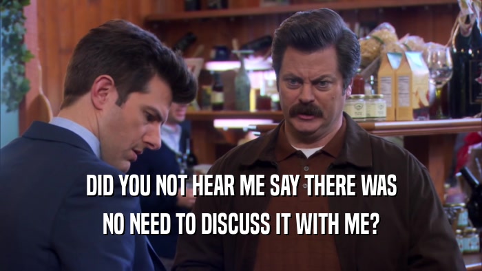 DID YOU NOT HEAR ME SAY THERE WAS NO NEED TO DISCUSS IT WITH ME? 