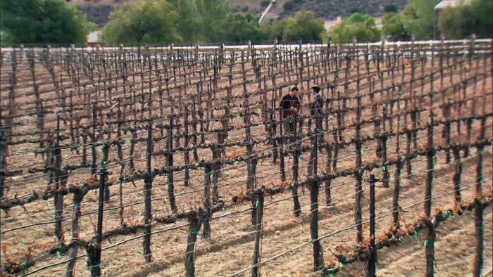 - TO SPITE EACH OTHER-- - MORE WINE, LESS TALKING. 