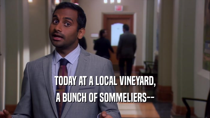 TODAY AT A LOCAL VINEYARD, A BUNCH OF SOMMELIERS-- 
