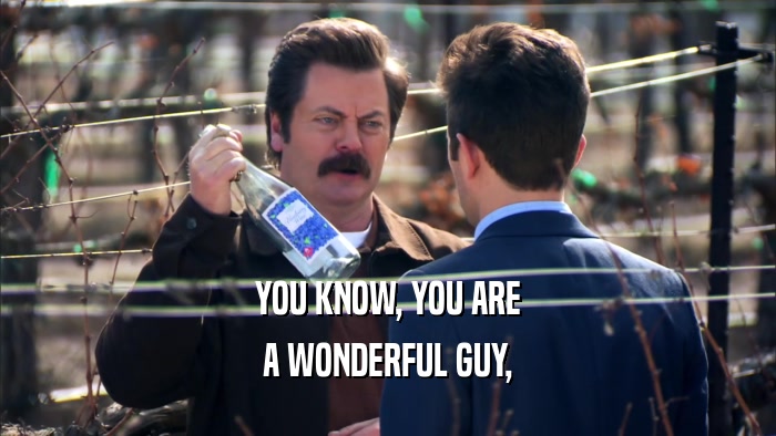 YOU KNOW, YOU ARE A WONDERFUL GUY, 