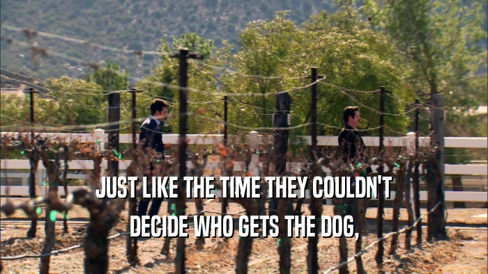 JUST LIKE THE TIME THEY COULDN'T DECIDE WHO GETS THE DOG, 