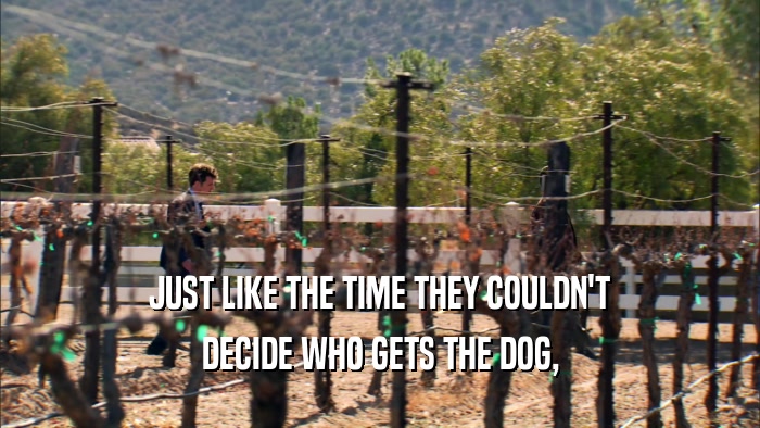 JUST LIKE THE TIME THEY COULDN'T DECIDE WHO GETS THE DOG, 