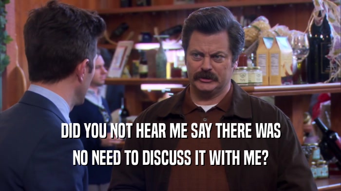 DID YOU NOT HEAR ME SAY THERE WAS NO NEED TO DISCUSS IT WITH ME? 