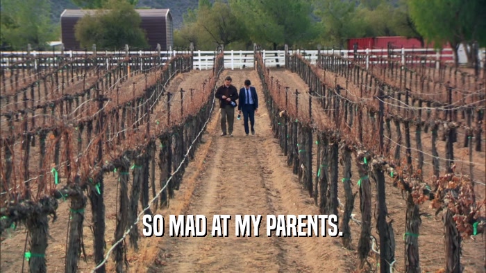 SO MAD AT MY PARENTS.  