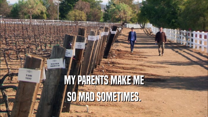 MY PARENTS MAKE ME SO MAD SOMETIMES. 