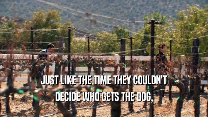 JUST LIKE THE TIME THEY COULDN'T DECIDE WHO GETS THE DOG, 