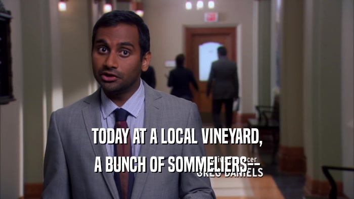 TODAY AT A LOCAL VINEYARD, A BUNCH OF SOMMELIERS-- 