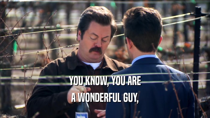 YOU KNOW, YOU ARE A WONDERFUL GUY, 