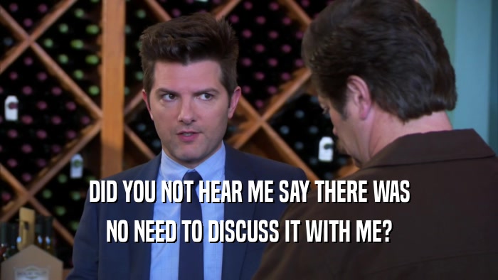 DID YOU NOT HEAR ME SAY THERE WAS NO NEED TO DISCUSS IT WITH ME? 