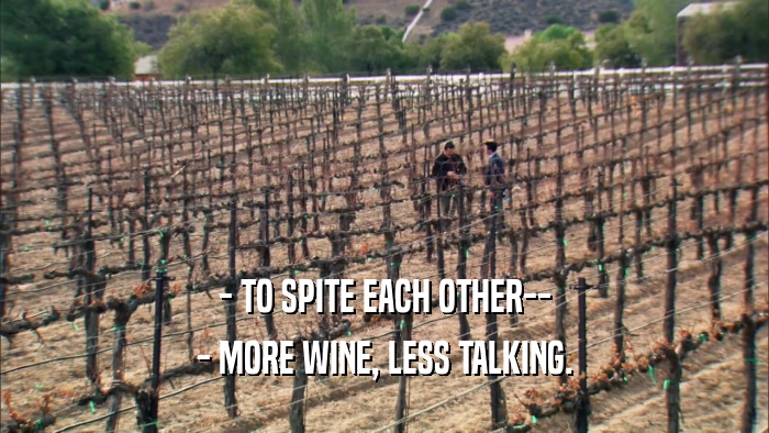 - TO SPITE EACH OTHER-- - MORE WINE, LESS TALKING. 