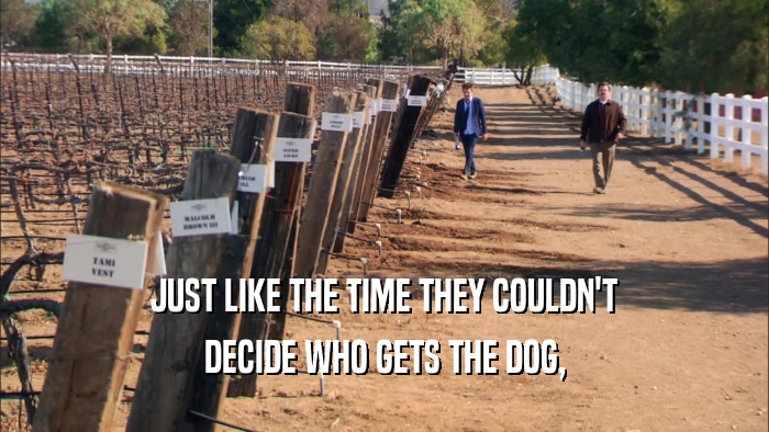 JUST LIKE THE TIME THEY COULDN'T DECIDE WHO GETS THE DOG, 
