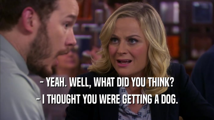 - YEAH. WELL, WHAT DID YOU THINK? - I THOUGHT YOU WERE GETTING A DOG. 