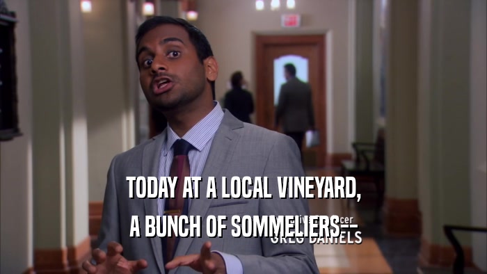 TODAY AT A LOCAL VINEYARD, A BUNCH OF SOMMELIERS-- 