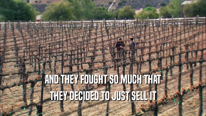 AND THEY FOUGHT SO MUCH THAT THEY DECIDED TO JUST SELL IT 