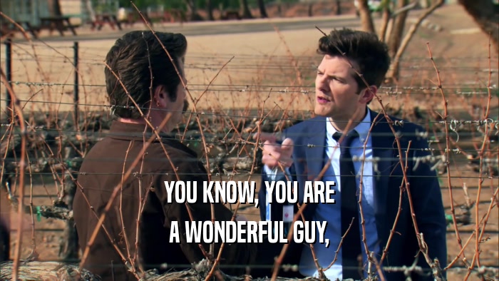 YOU KNOW, YOU ARE A WONDERFUL GUY, 