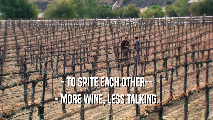 - TO SPITE EACH OTHER-- - MORE WINE, LESS TALKING. 