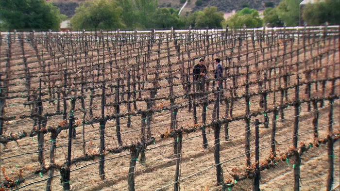 - TO SPITE EACH OTHER-- - MORE WINE, LESS TALKING. 