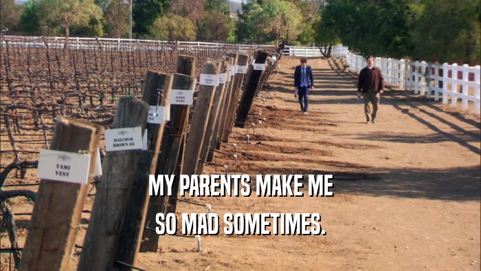 MY PARENTS MAKE ME SO MAD SOMETIMES. 