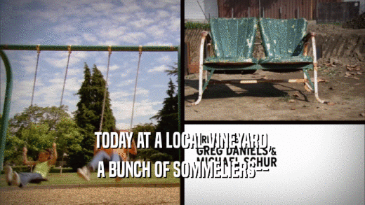 TODAY AT A LOCAL VINEYARD, A BUNCH OF SOMMELIERS-- 