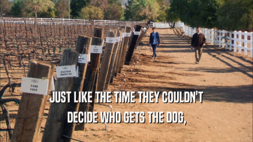 JUST LIKE THE TIME THEY COULDN'T DECIDE WHO GETS THE DOG, 