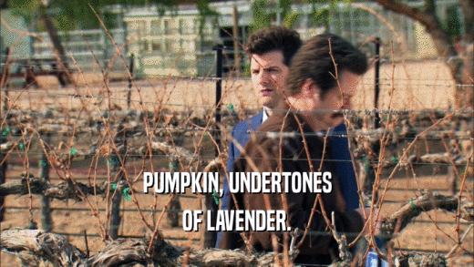 PUMPKIN, UNDERTONES OF LAVENDER. 