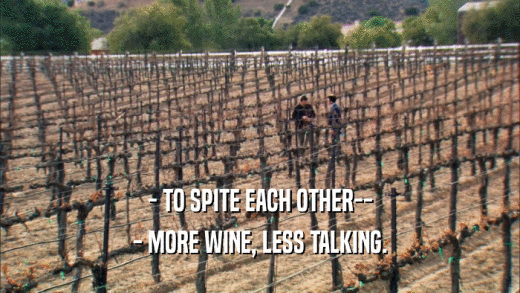 - TO SPITE EACH OTHER-- - MORE WINE, LESS TALKING. 